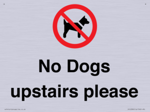 No Dogs upstairs please 